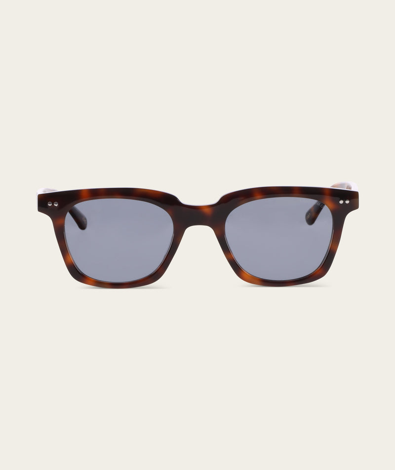 Jackson - Dark Tortoise (Polarized)
